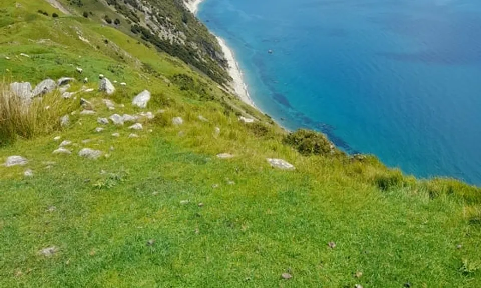 Cable Bay - Glenduan, Nelson