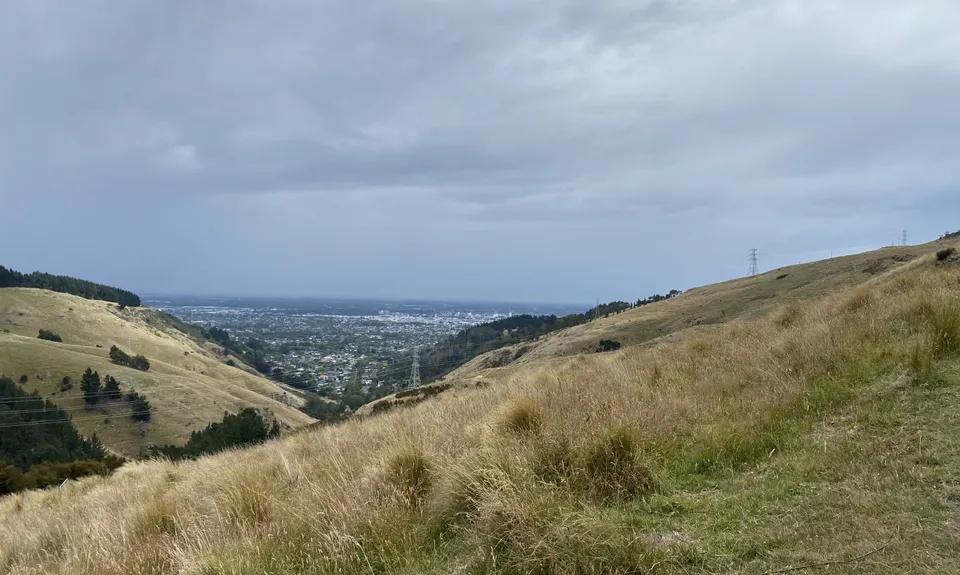 Lava Lite, Canterbury