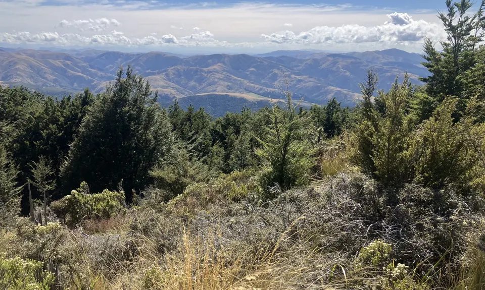 Mt Thomas via Ridge Track, Canterbury