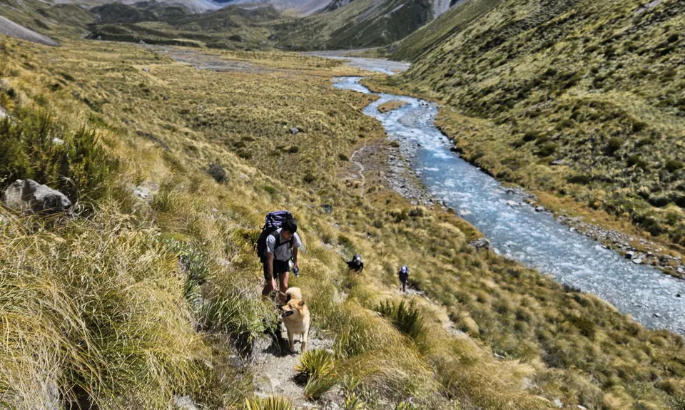 Cameron Hut return, Canterbury