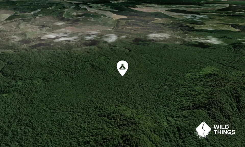 Army Road Campsite