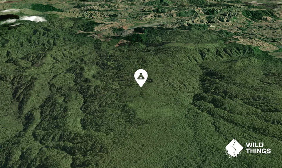 Central Clearing Campsite