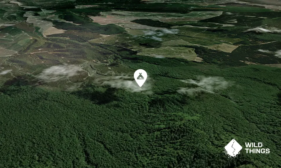 Clements Clearing Campsite