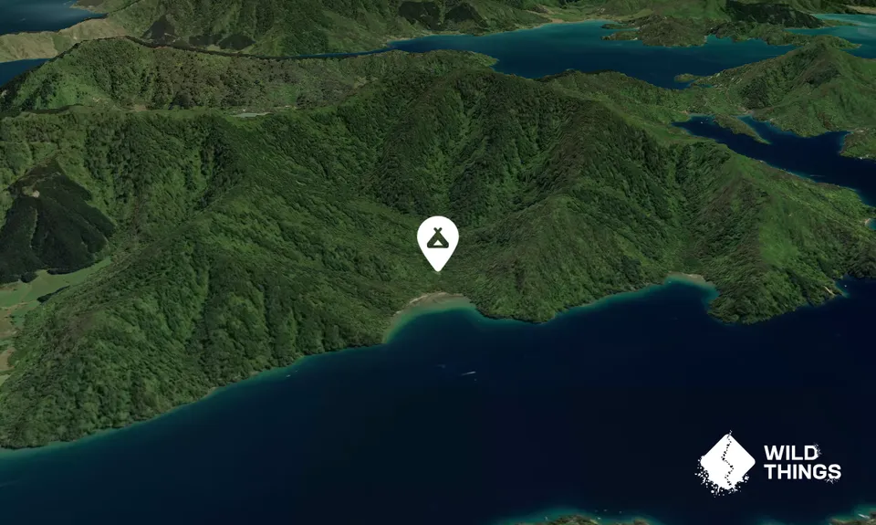Davies Bay Campsite