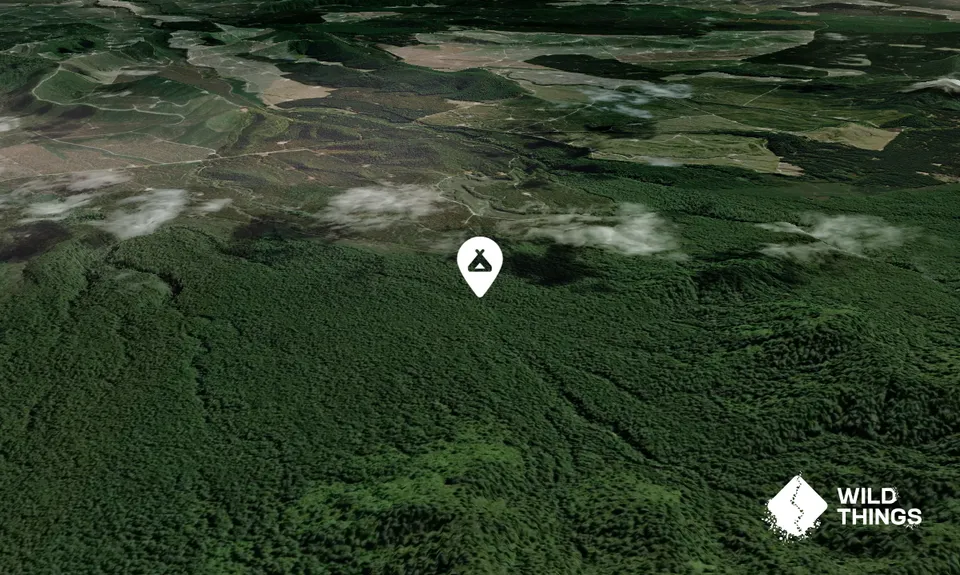 Kakapo Campsite