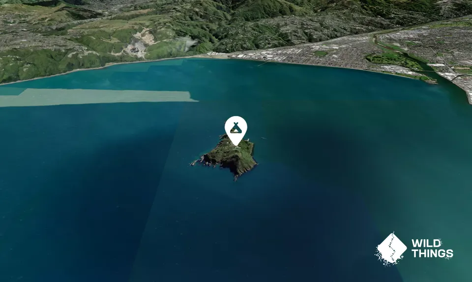 Matiu/somes Island Campsite