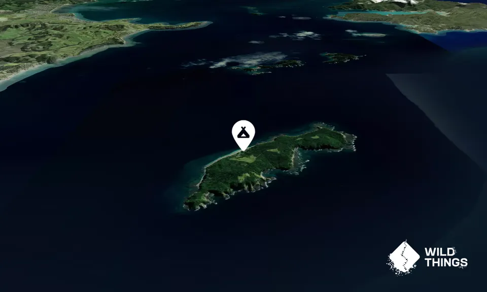 Motuora Island Campsite