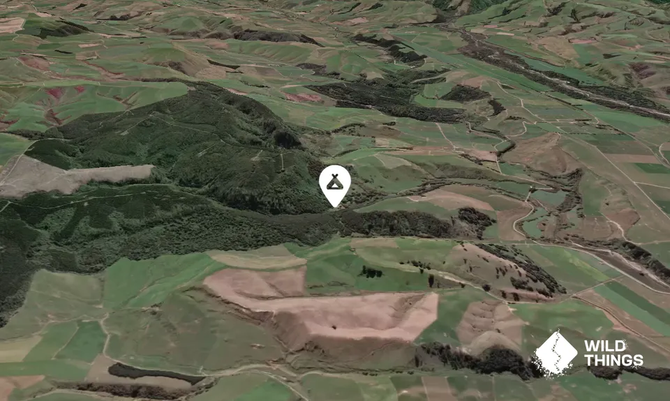 Pioneer Park Campsite
