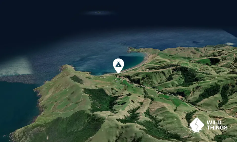 Port Jackson Campsite