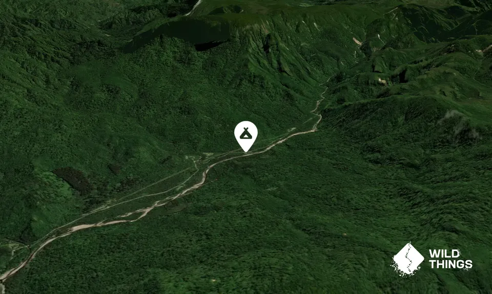 Totara Flat Campsite: Coromandel