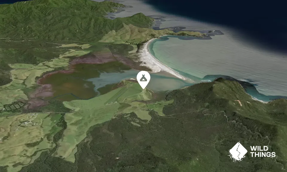Whangapoua Campsite