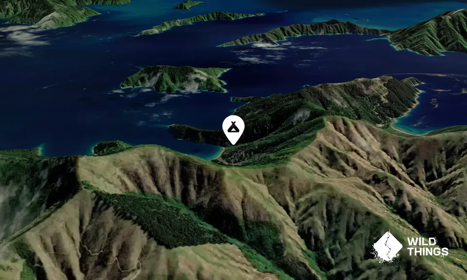 Wharehunga Bay Campsite