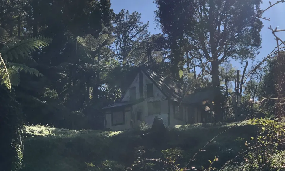 Can you Karanga-hack it, Waikato