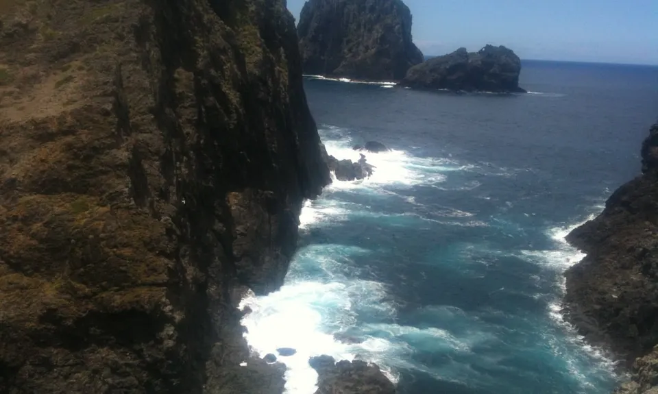 Cape Brett Canter, Northland