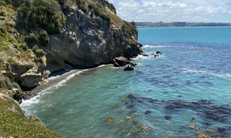 Caped Crusader, Otago