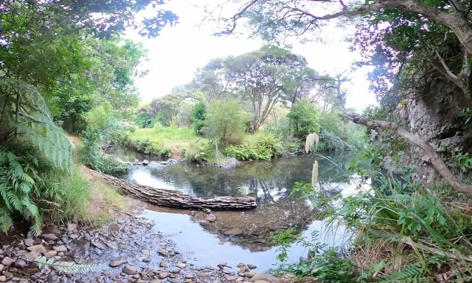 Wairakau Stream to Dukes Nose, Northland