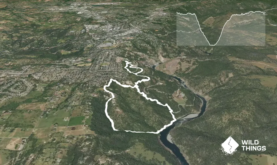 Cardiac Loop, United States