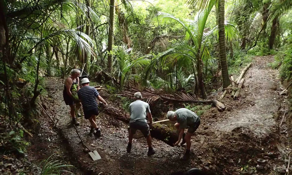 Whakaumu Track, Bay of Plenty