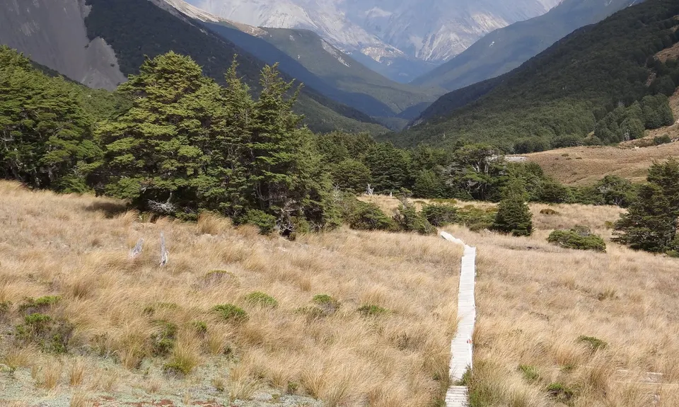 Cass-Lagoon Trail, Canterbury