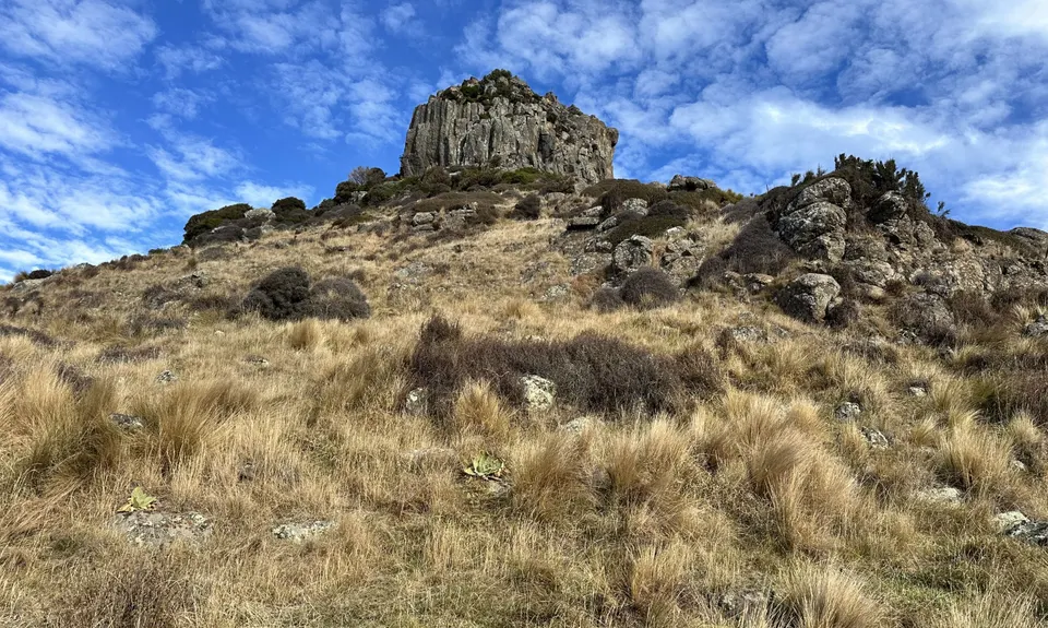 Castle Rock Ridge, Canterbury