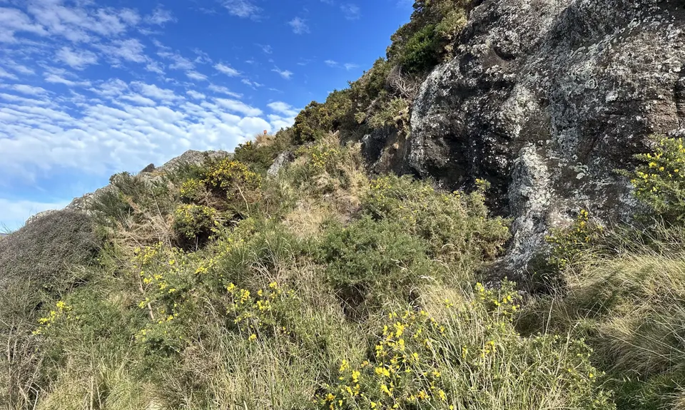 Castle Rock Ridge, Canterbury