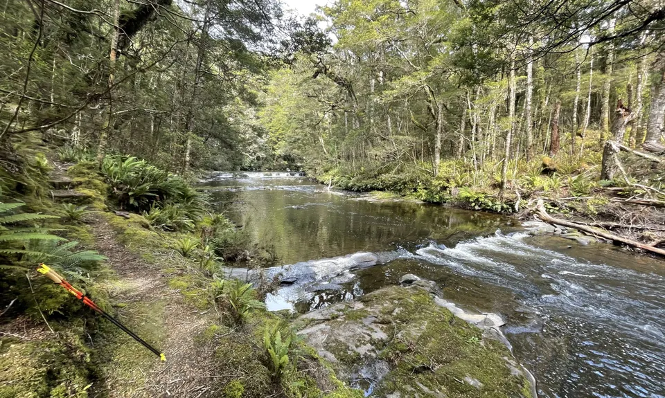 Catlins River Track, Otago