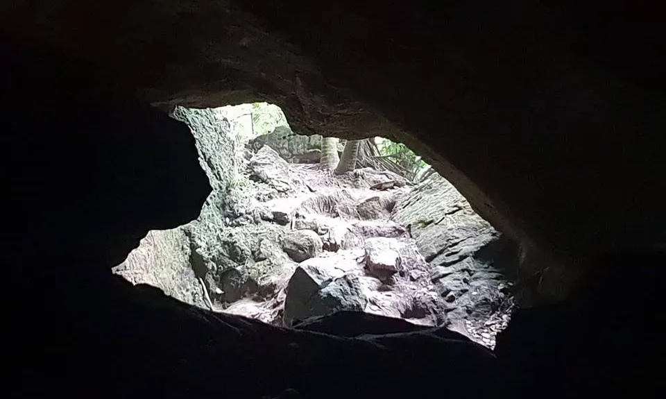Punakaiki-Pororari loop, West Coast