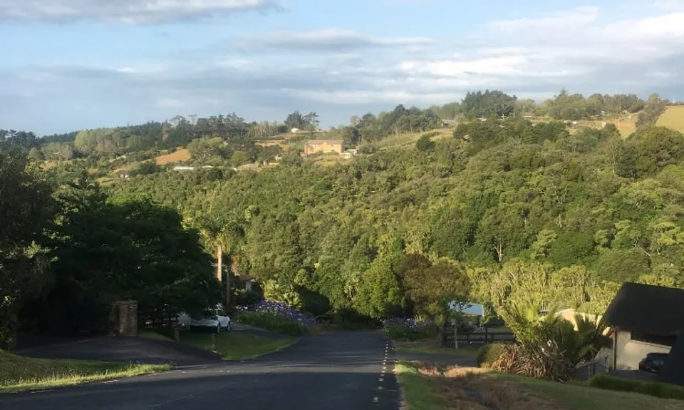 Mangemangeroa Track, Auckland