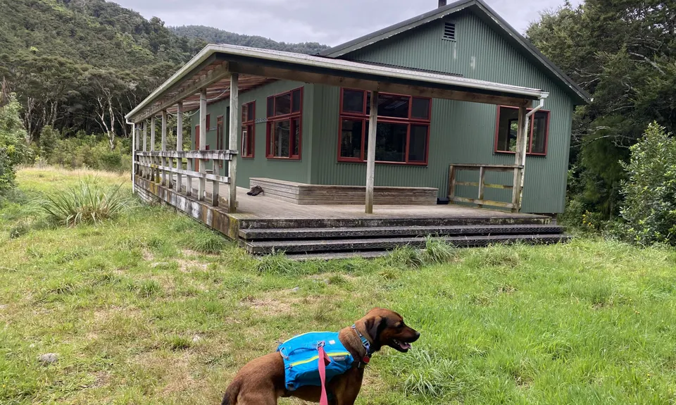 Holdsworth to Kaitoke, Wellington