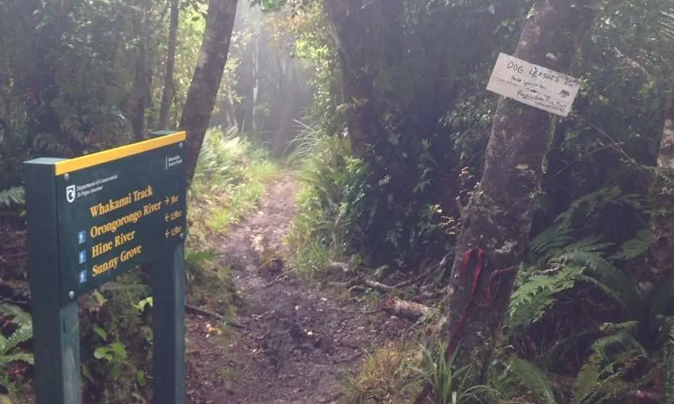 Where in the Whakanui?, Wellington