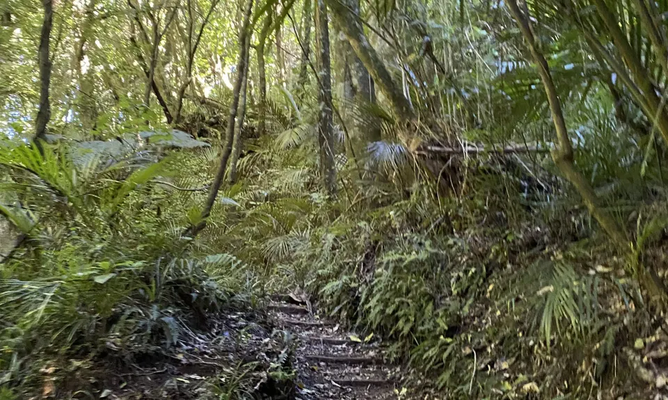 Ratapihipihi, Taranaki