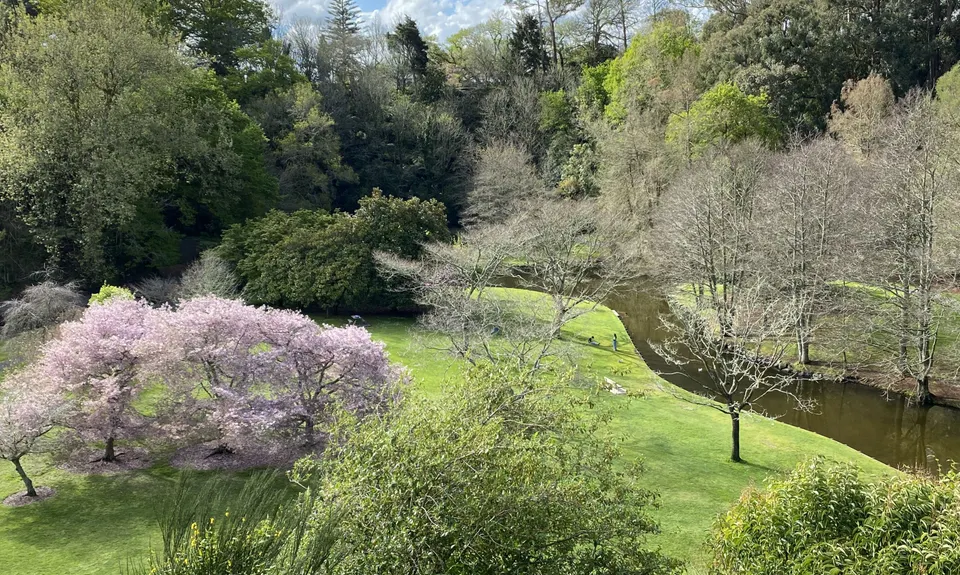 Te Koutu Has It All, Waikato
