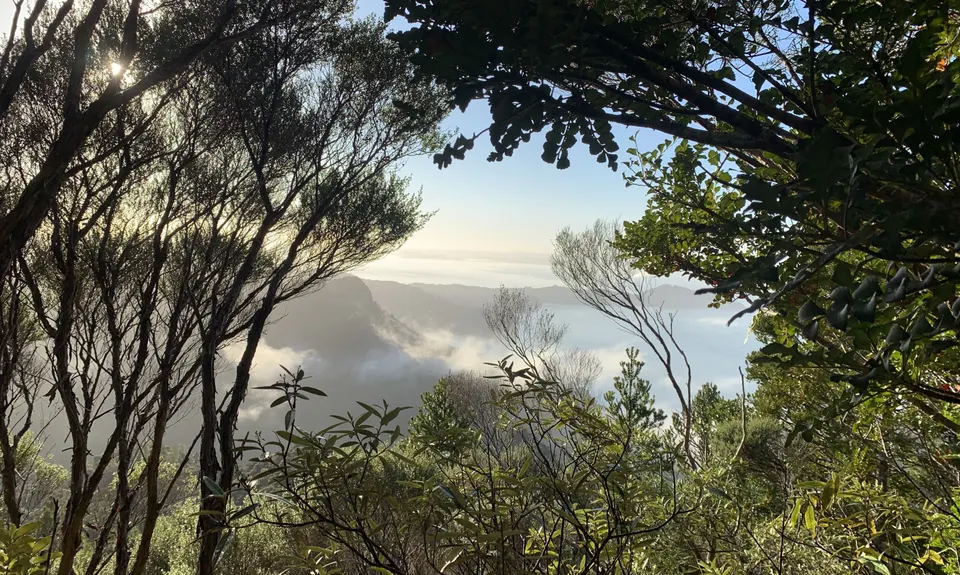 Karamatura Loop, Auckland