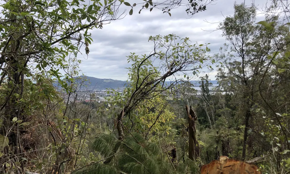 Tokorangi Pa Track, Bay of Plenty