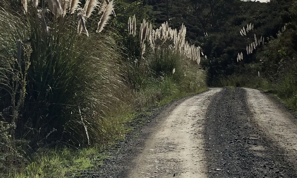 Not my left eye, it's Maraetai!, Auckland