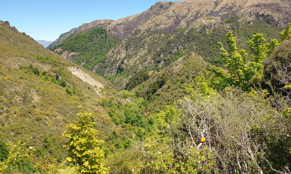 New Chums Loop, Otago