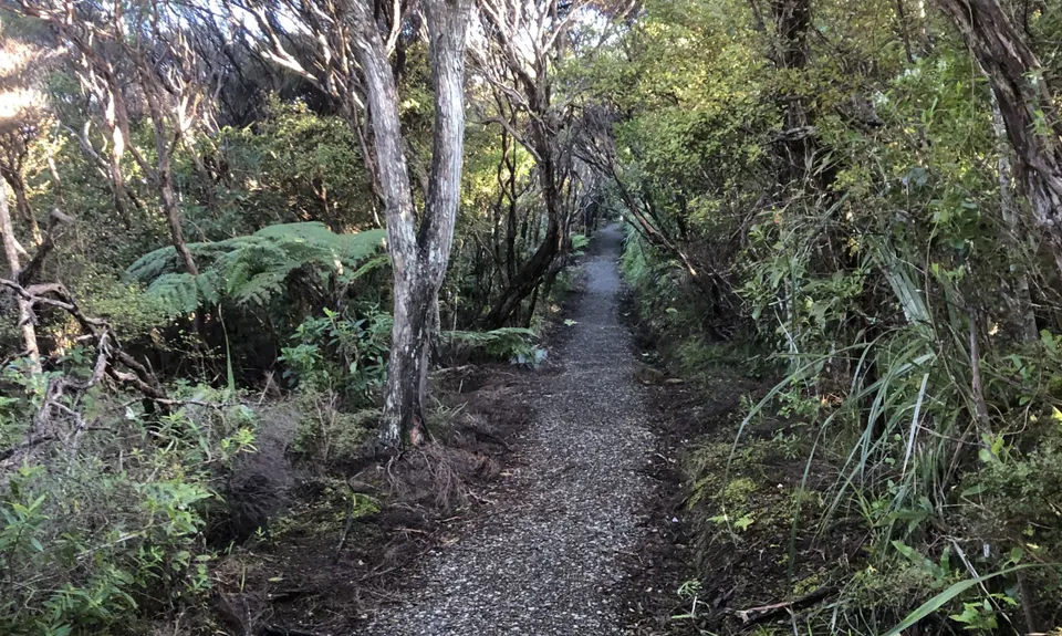 Only One Hill! Karekare Half Marathon, Auckland