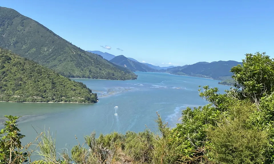 Cullen Point , Marlborough