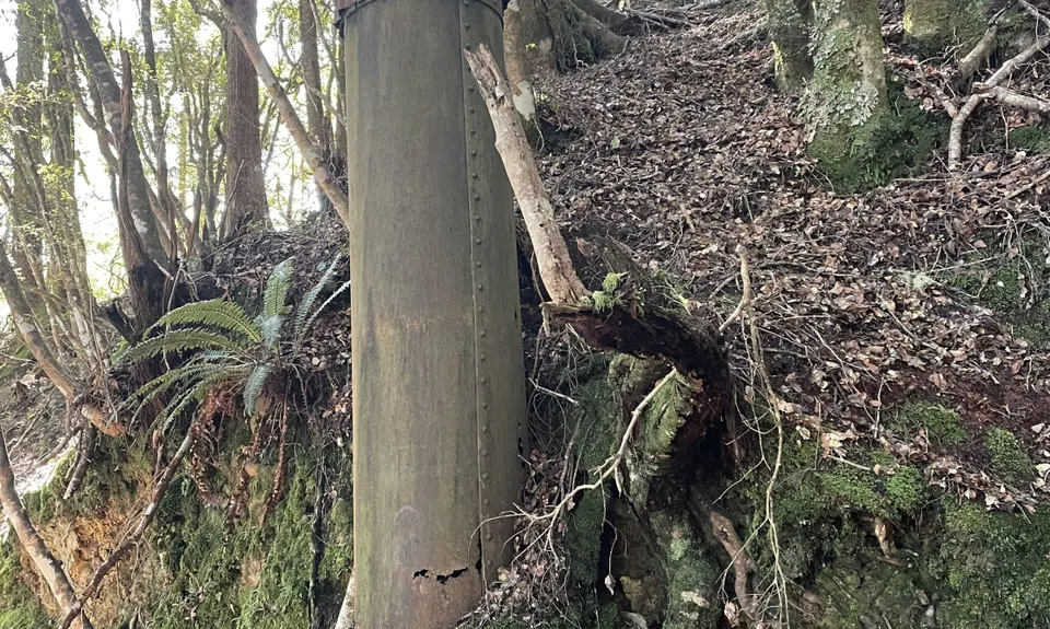 Murray Creek / Konini Track Loop, West Coast
