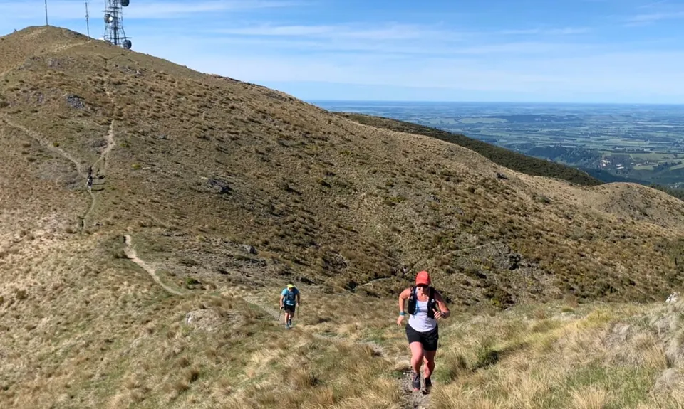 Mt Grey, Canterbury