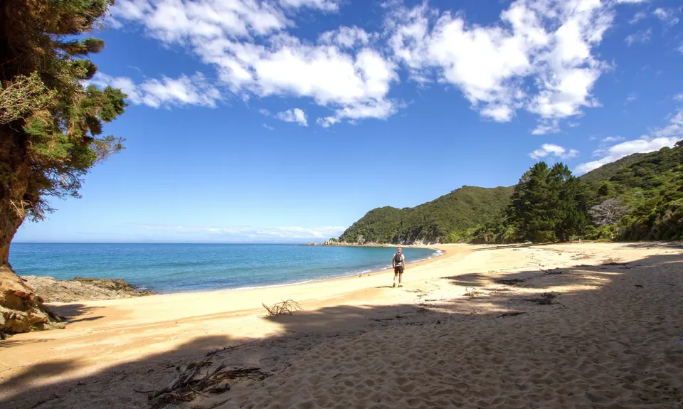 Separation Point Loop, Tasman