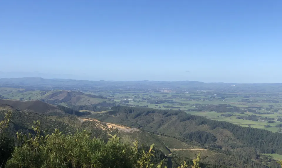 Mt Dick Loop, Wellington