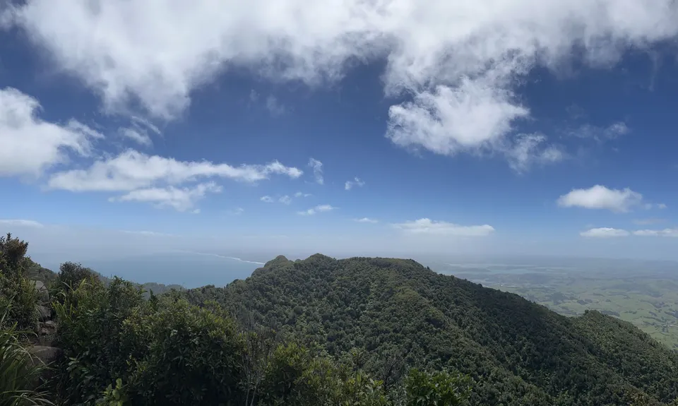 Chain Reaction, Waikato