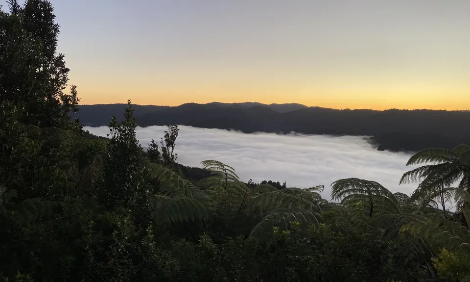 Challenge / Ernies Loop, Auckland