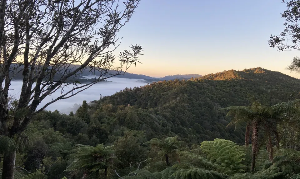 Challenge / Ernies Loop, Auckland