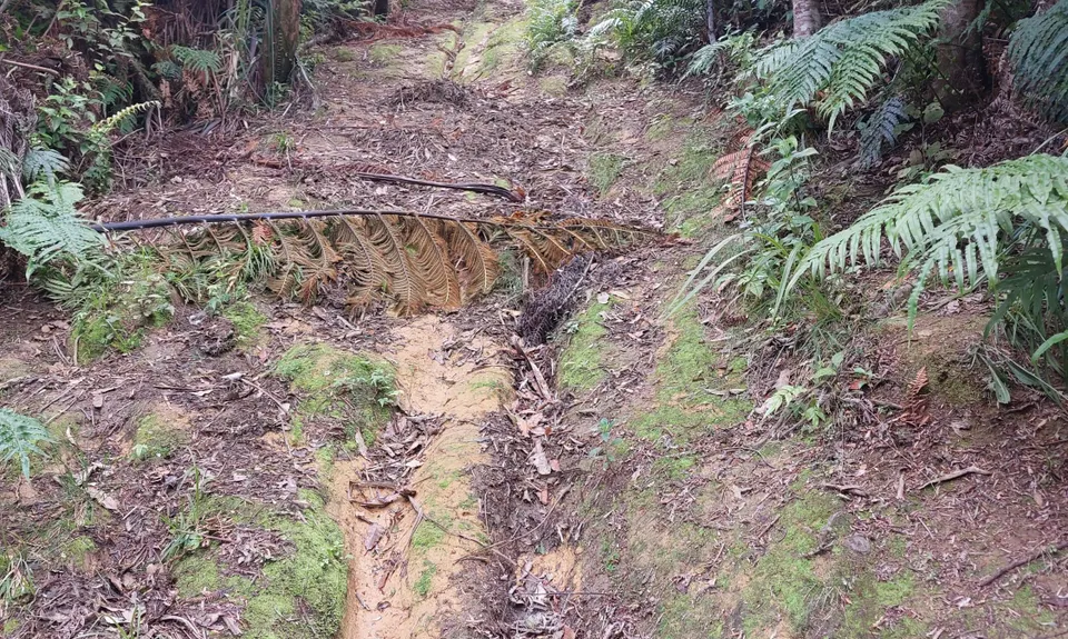 Challenge Track, Auckland