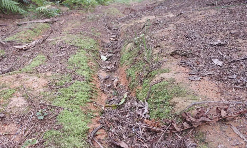 Challenge Track, Auckland