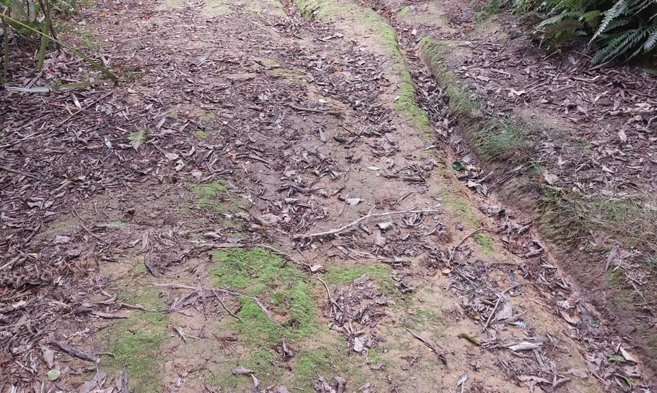 Challenge Track, Auckland
