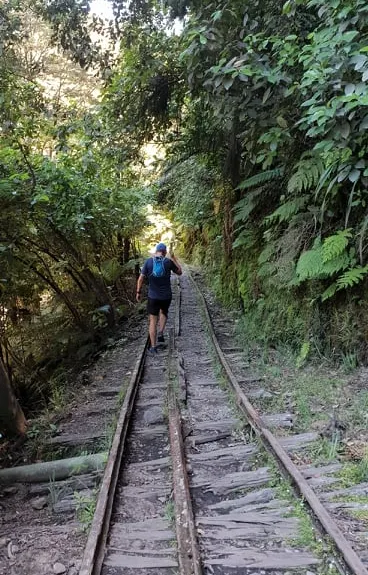 Charming Creek Walkway, West Coast