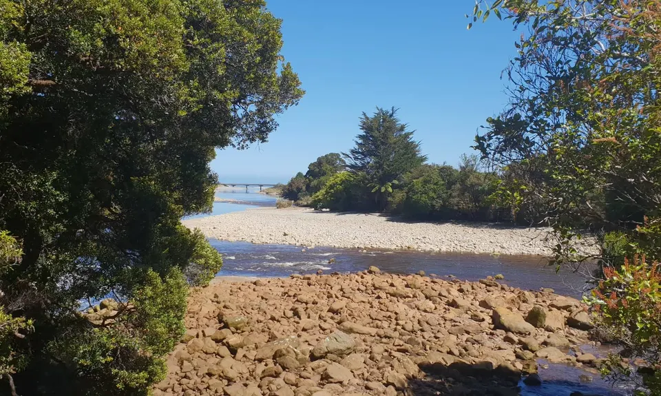 Charming Creek Walkway, West Coast